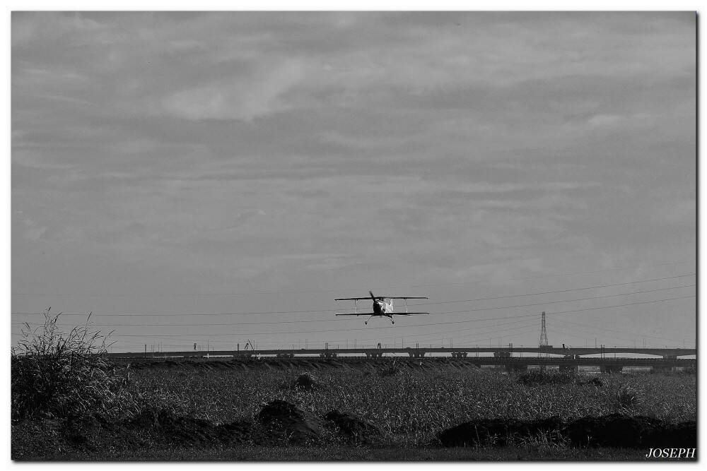 DSC_6597.JPG