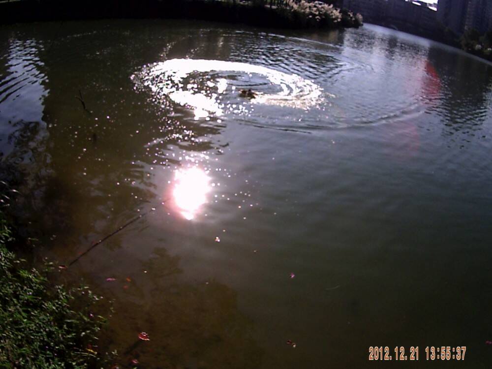 PICT0012.JPG