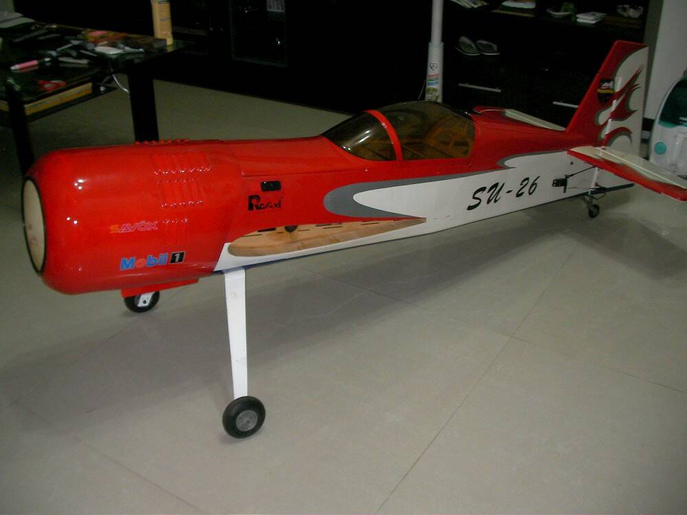 SANY1098-1000.jpg