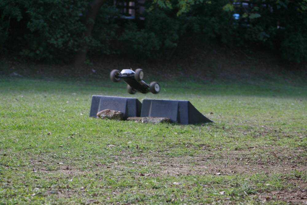 _MG_1084-1000.jpg