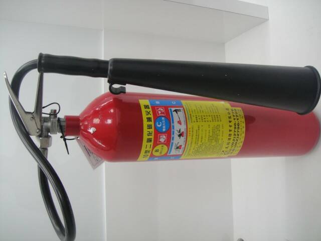 DSC02095.JPG