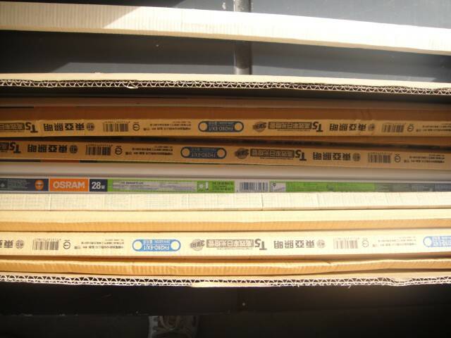 DSC02109.JPG