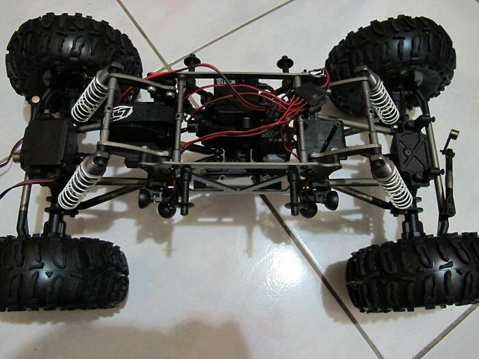LOSI.jpg