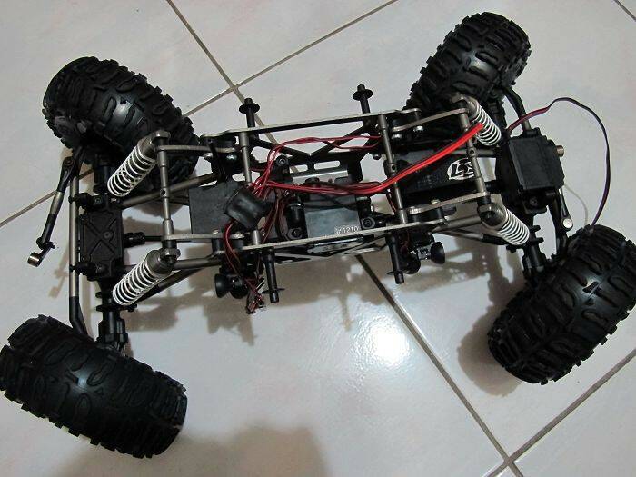LOSI (1).jpg