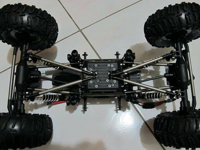 LOSI (2).jpg