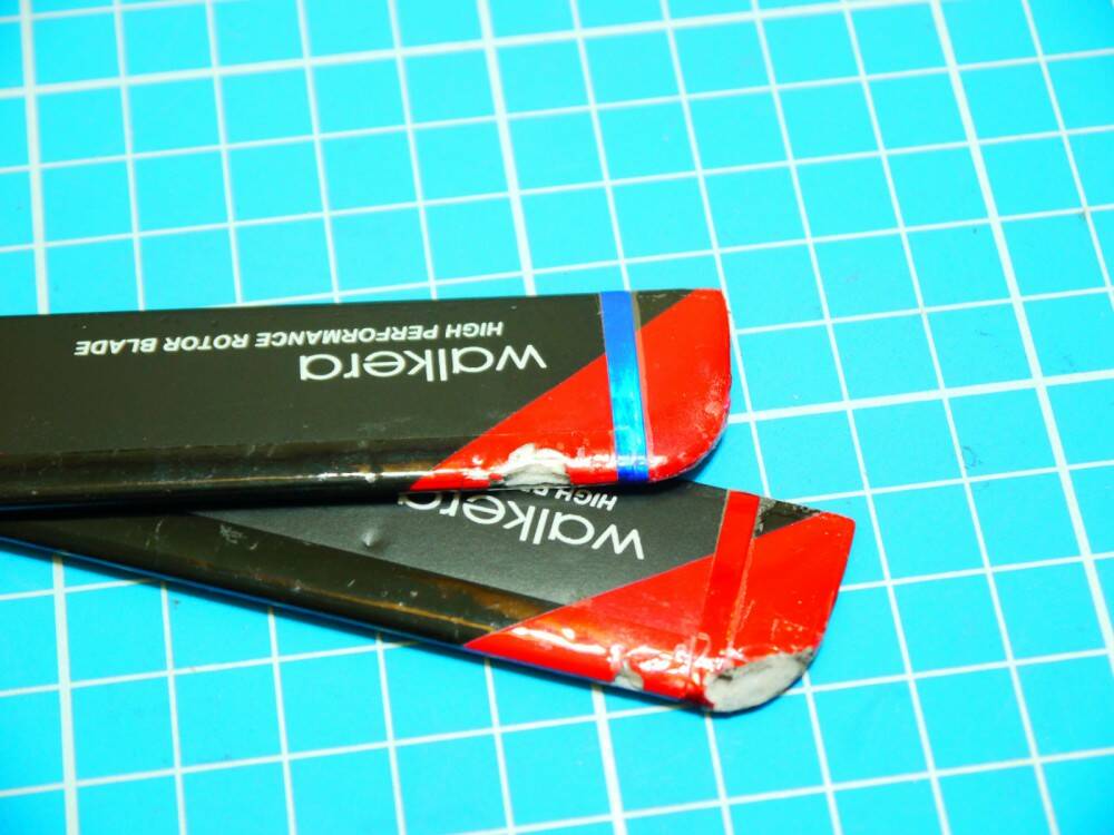 P1000391.jpg