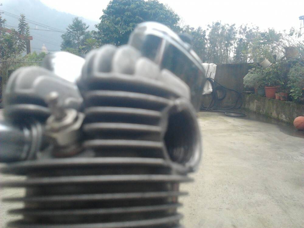有小崩牙