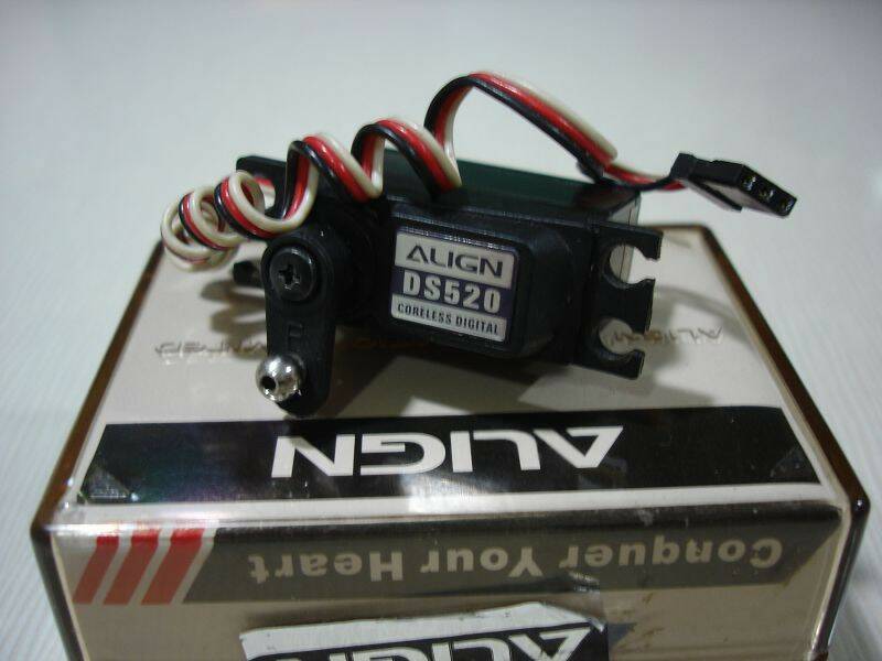 DS520.JPG