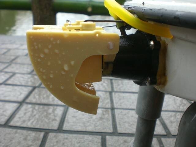 CIMG8085.JPG
