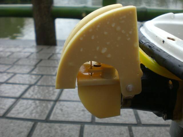 CIMG8081.JPG