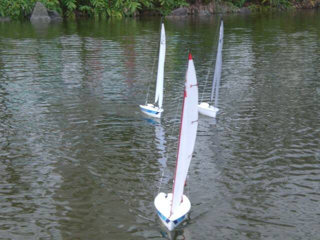 CIMG8098.JPG