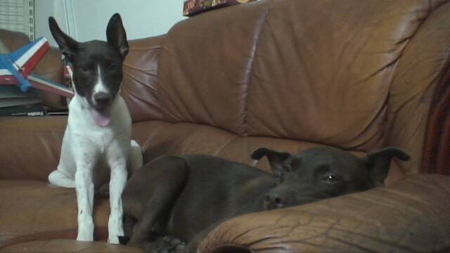 DSC01054.JPG