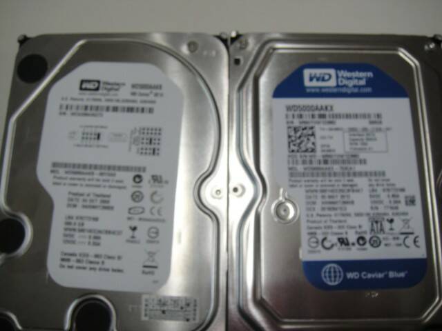 DSC02420.JPG