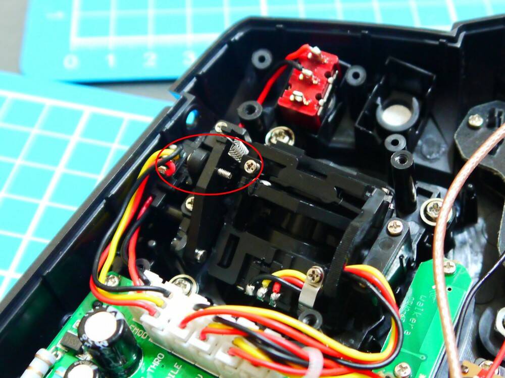 P1000536a.jpg