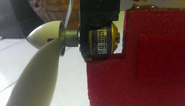 IMAG0170.jpg