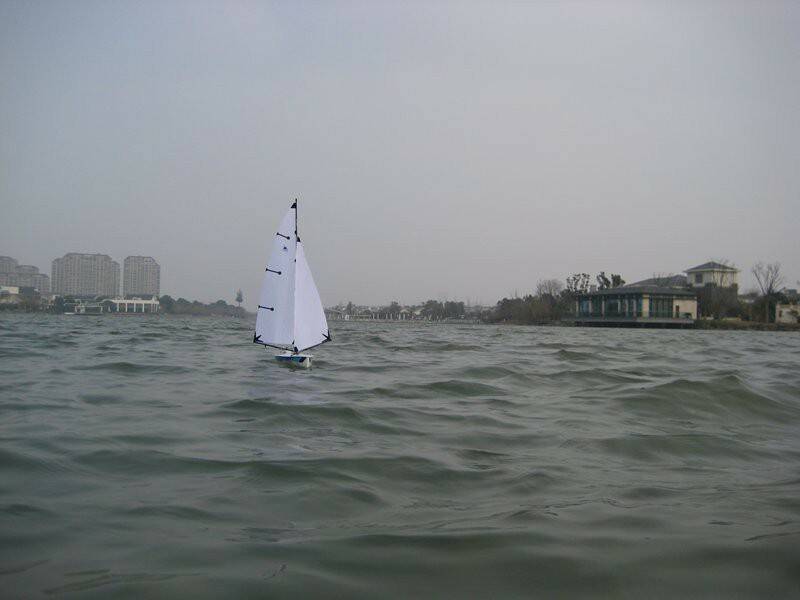 m_IMG_3532.JPG