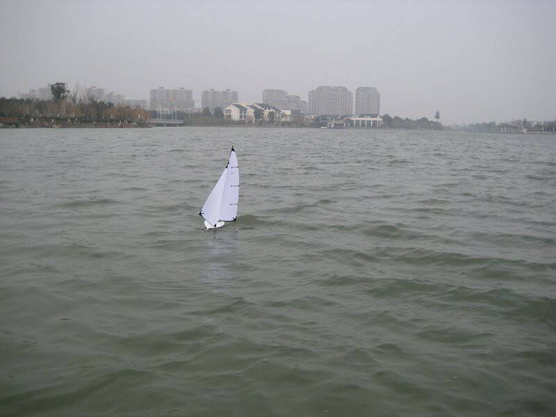 m_IMG_3514.JPG