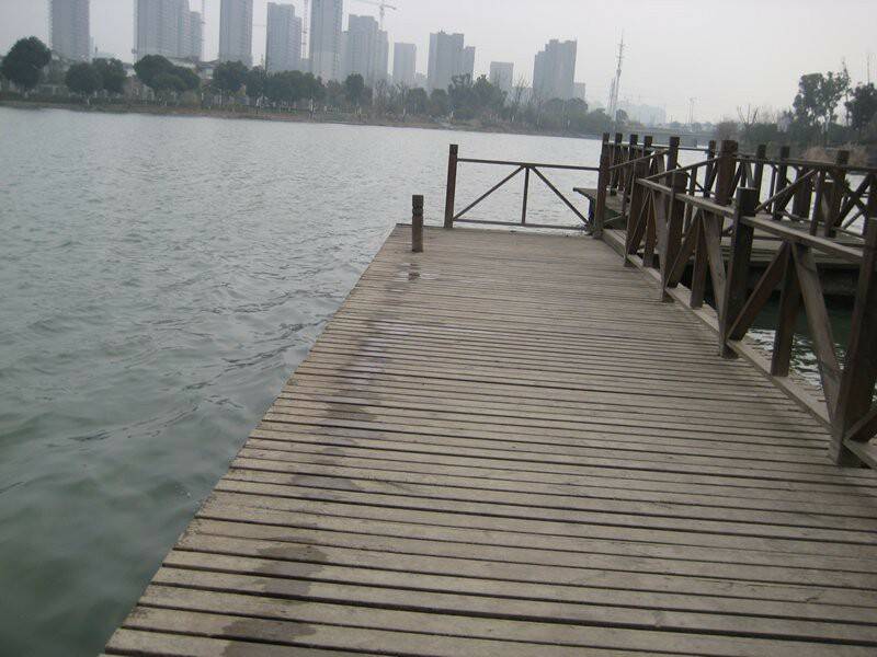 m_IMG_3507.JPG