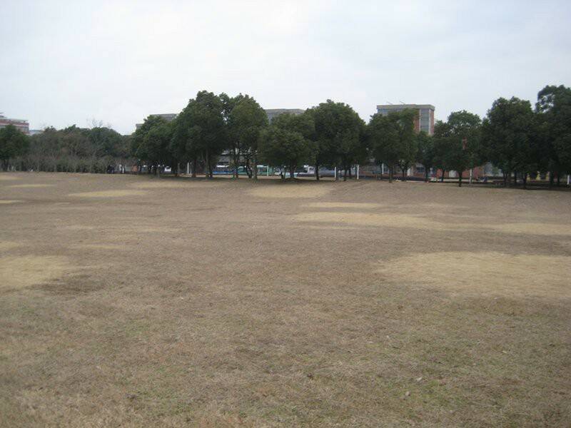 就這塊草地