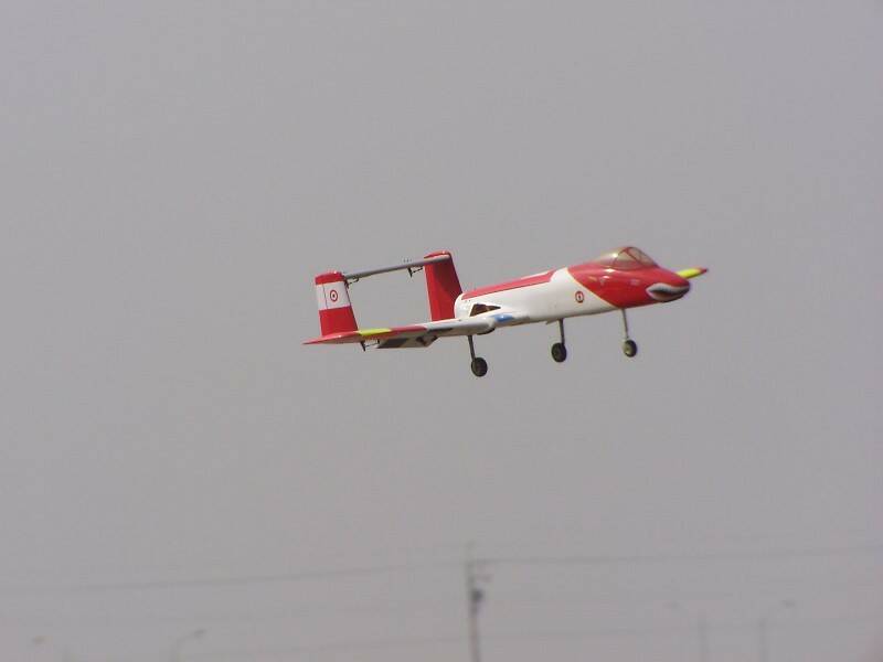 fly (44).jpg