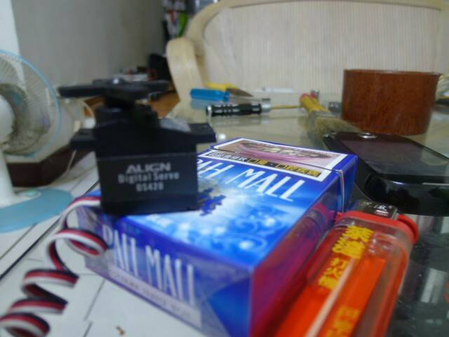 P1000921.JPG