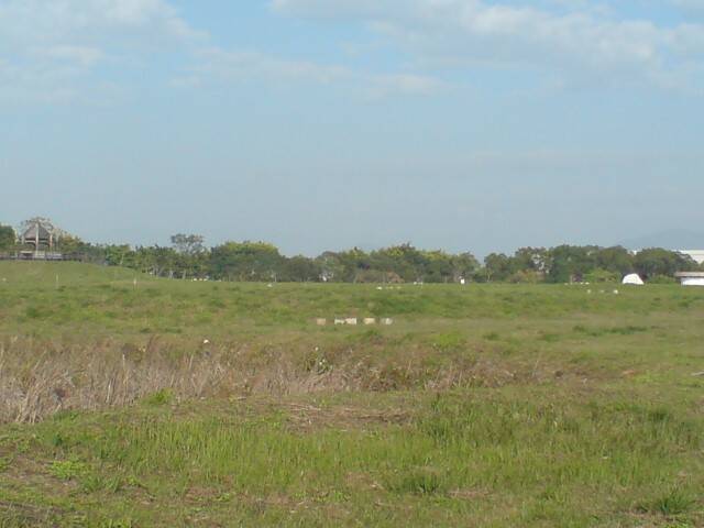 DSC04583.JPG