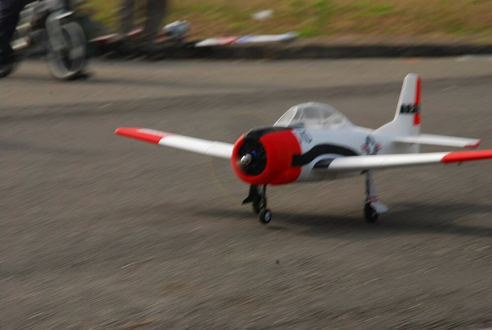 DSC_5959-1000.jpg