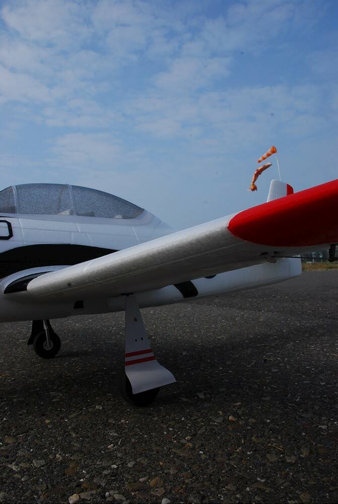 DSC_5966-1000.jpg