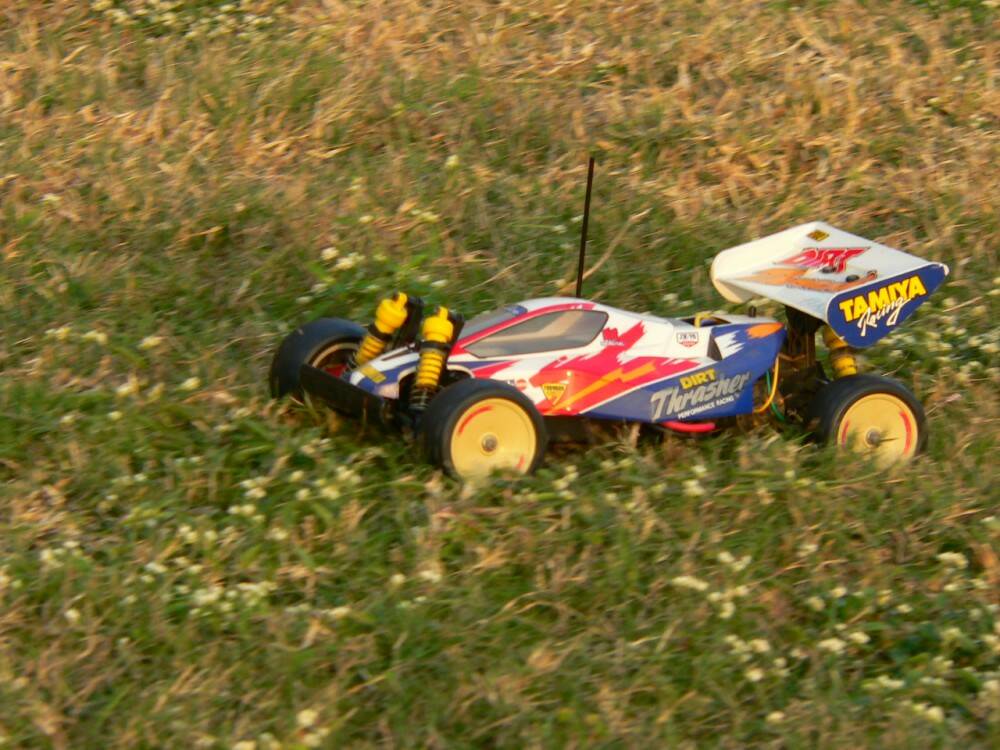 P1310354.JPG