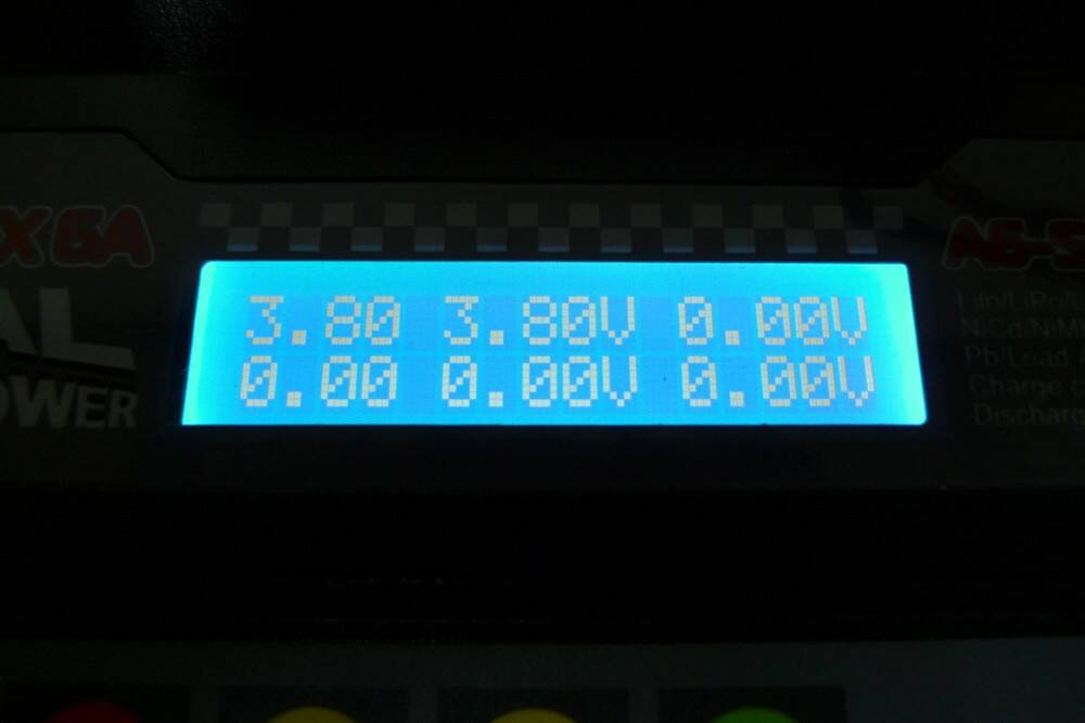P1000218.jpg