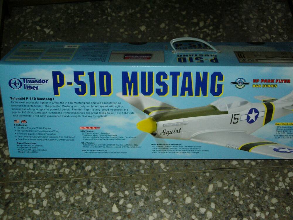 P51.JPG