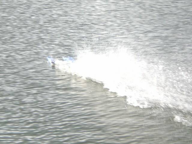 CIMG8397.JPG