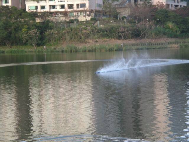 CIMG8391.JPG