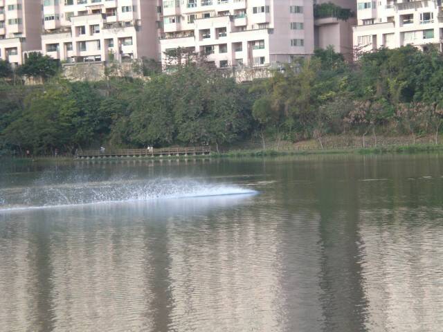 CIMG8390.JPG