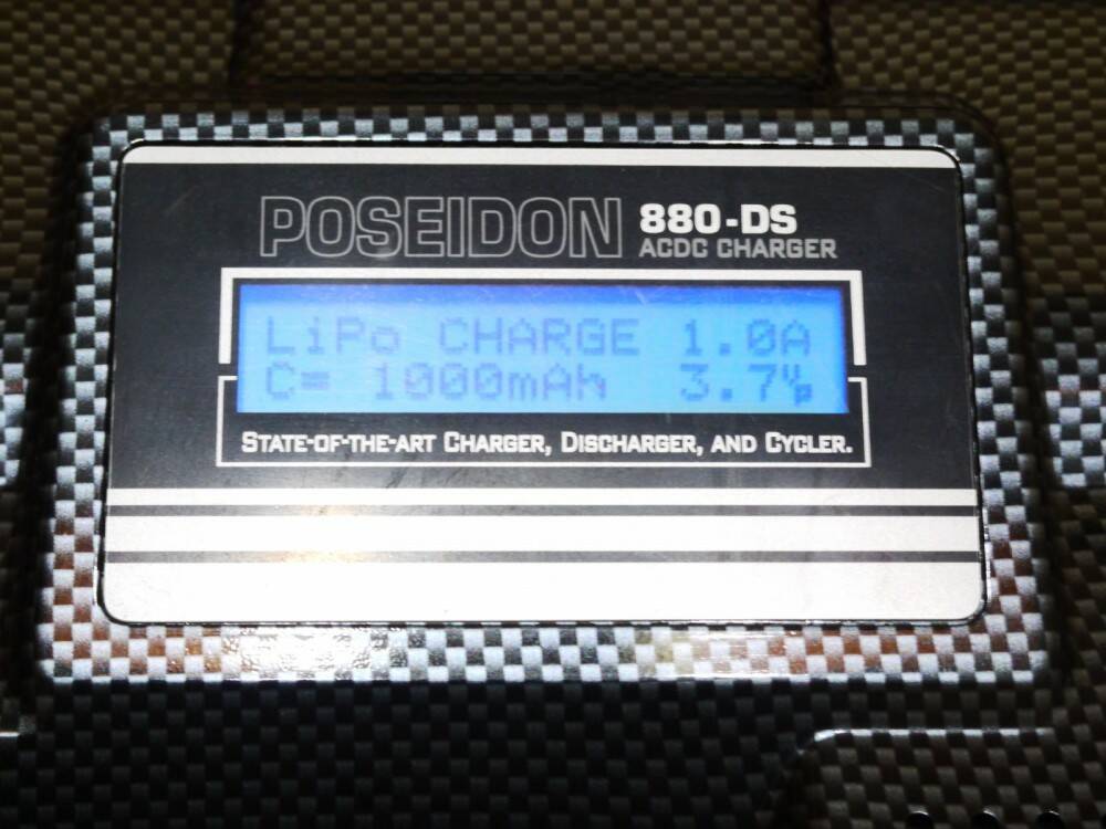 P1000845.jpg