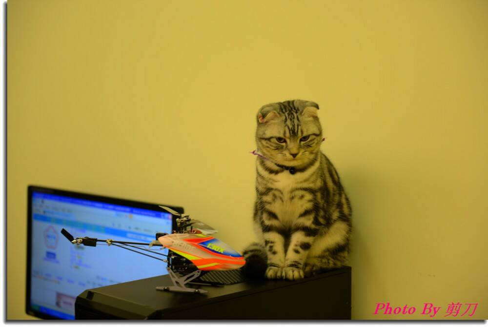 Photo By 剪刀 8.jpg