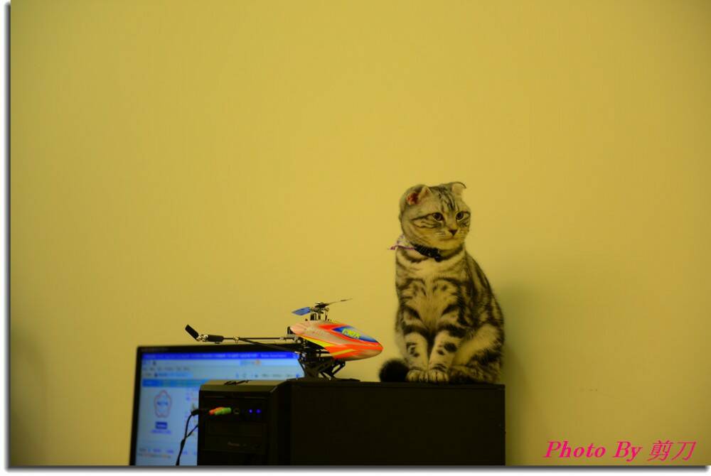 Photo By 剪刀 7.jpg