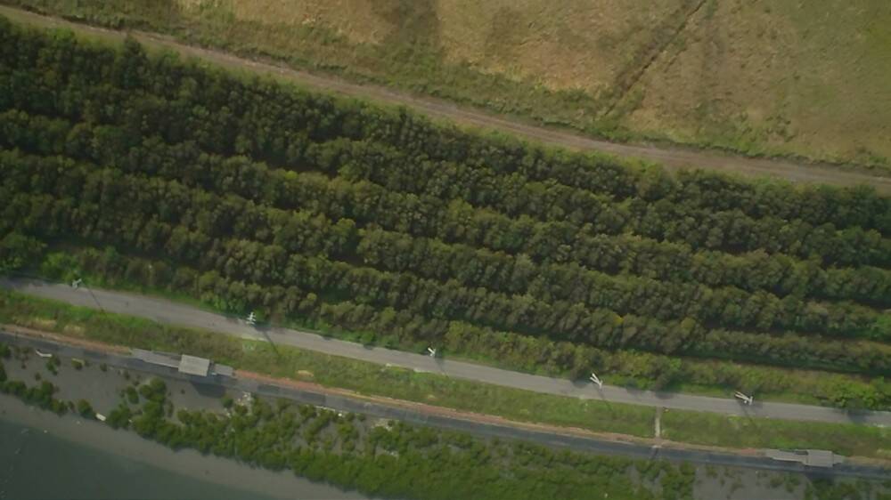王功基地北方整齊劃一的防風林