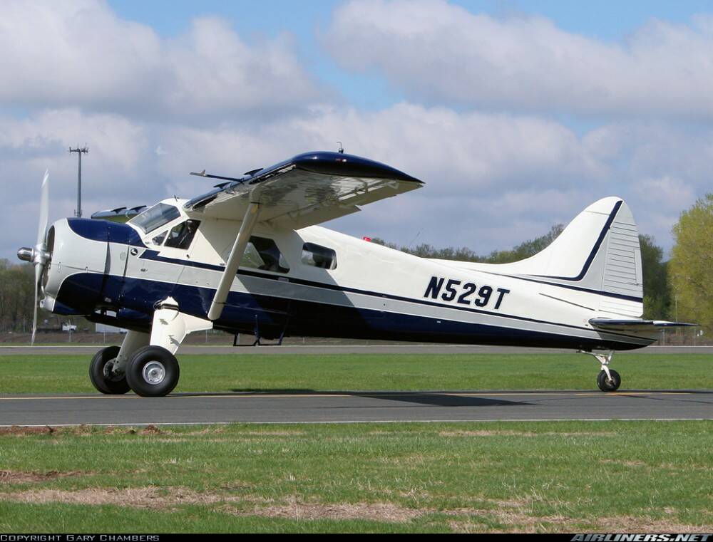 Beaver - blue - grey -WHEELS.jpg