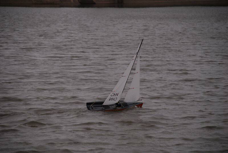 m_DSC_4669.JPG