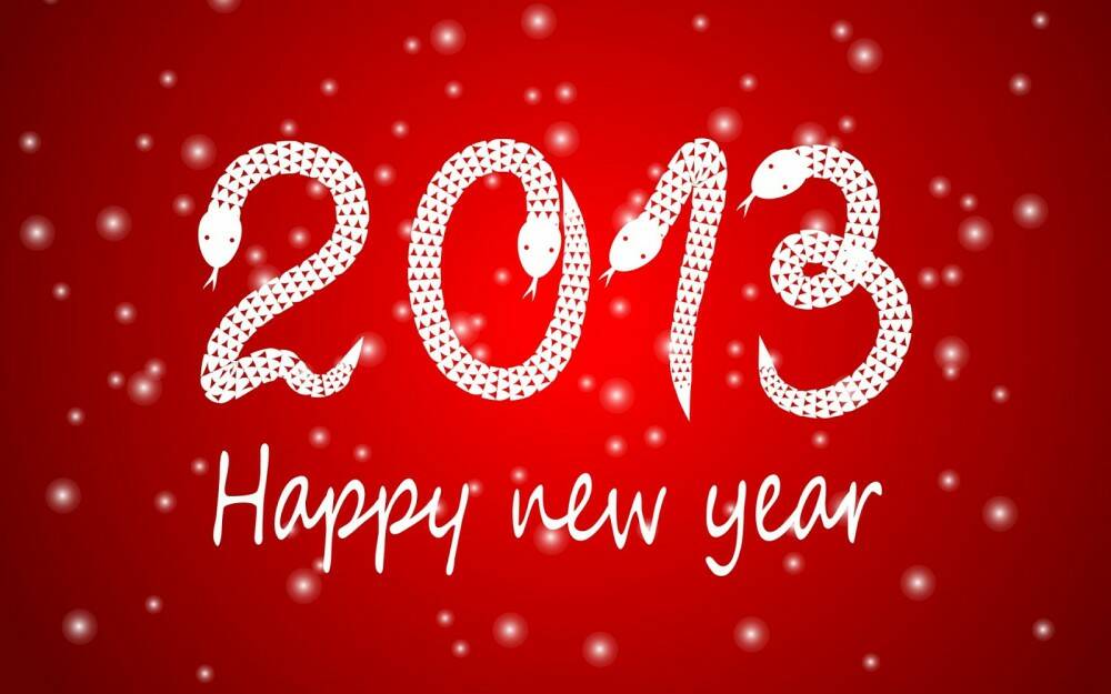 2013 Happy New Year.jpg