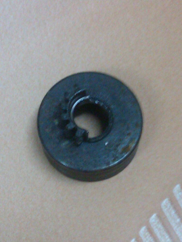 IMAG0307.jpg