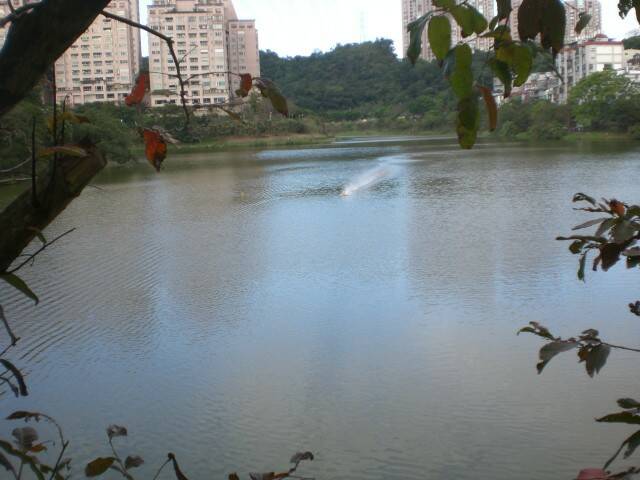 CIMG8637.JPG