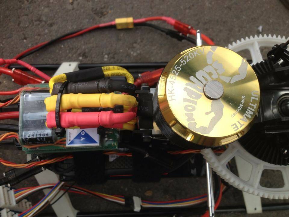 11289_490033751032730_1081781622_n.jpg