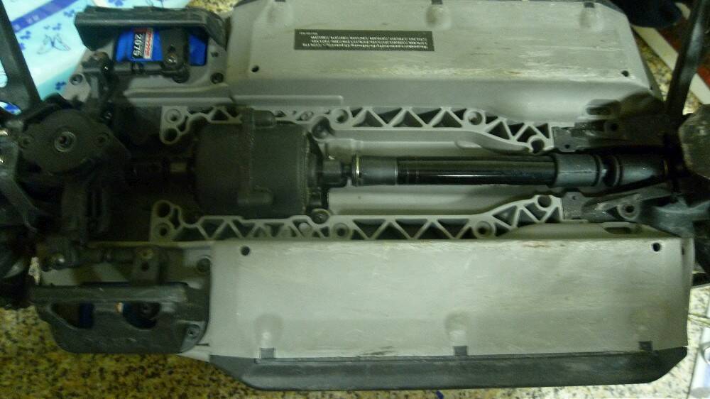 P1020068-1000.jpg