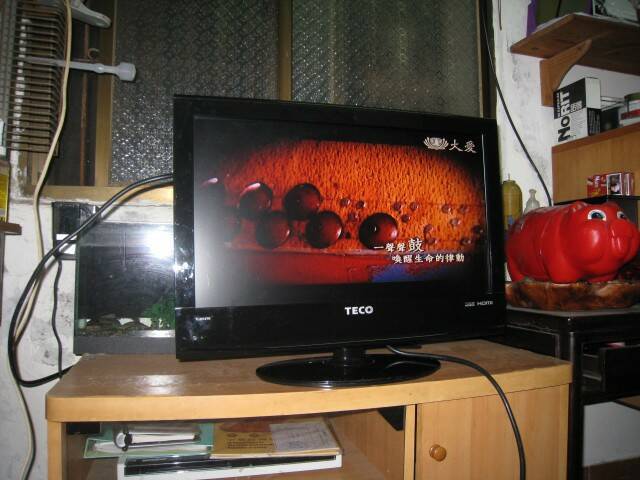 20130101_3c591f341ceea992b386jQCDZTfawMMf.jpg