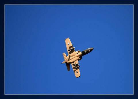 379316_556794231011219_1125291923_n[1].jpg