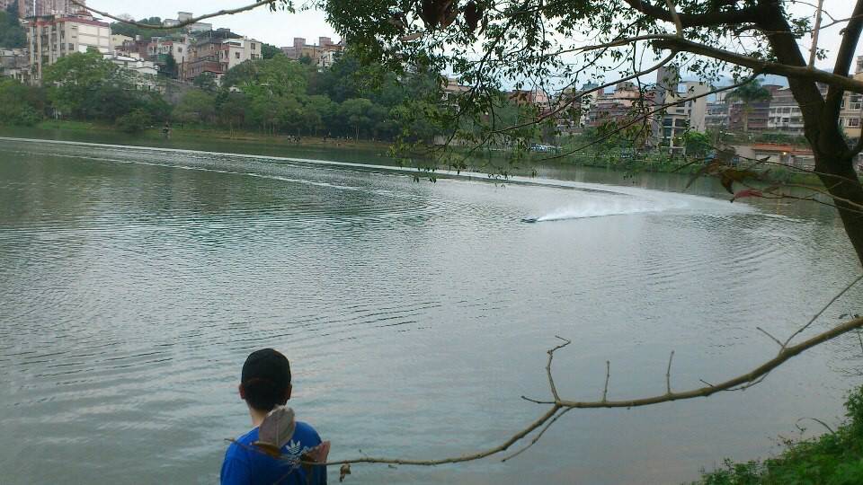 p2.jpg