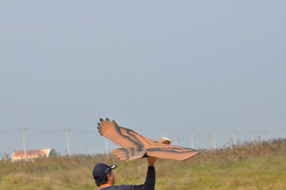 2012 140_調整大小.jpg