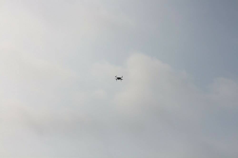 IMG_0024-1000.jpg